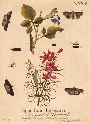 Lot 92 - Albin (Eleazar). A Natural History of English Insects... , 1st London, 1720