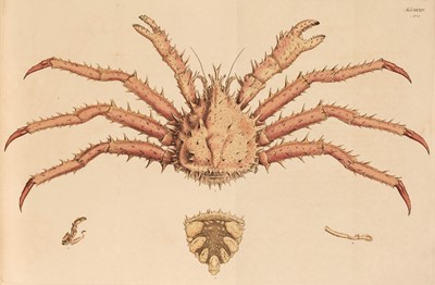 Lot 99 - Leach (William Elford). Malacostraca Podophthalmata Britanniae... , 1815-20 & 1875
