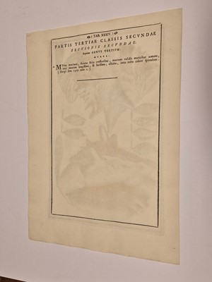 Lot 36 - Gualtieri (Niccolo). Seven Engravings of Shells, 1742
