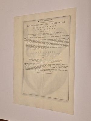 Lot 36 - Gualtieri (Niccolo). Seven Engravings of Shells, 1742