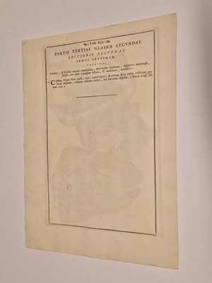 Lot 36 - Gualtieri (Niccolo). Seven Engravings of Shells, 1742
