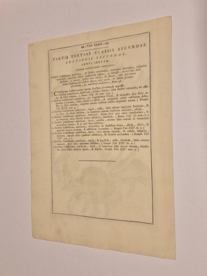 Lot 36 - Gualtieri (Niccolo). Seven Engravings of Shells, 1742