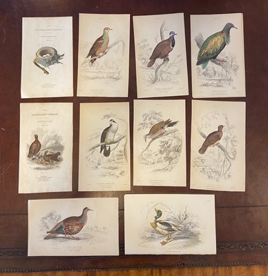 Lot 46 - Jardine (William). A collection of approximately 225 prints, circa 1850