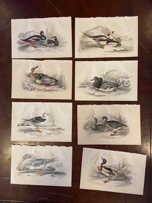 Lot 46 - Jardine (William). A collection of approximately 225 prints, circa 1850