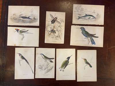 Lot 46 - Jardine (William). A collection of approximately 225 prints, circa 1850