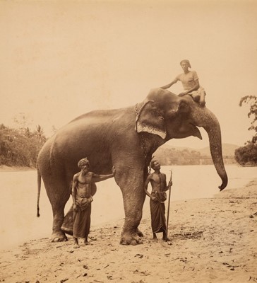 Lot 12 - Ceylon. A collection of 15 albumen print photographs of Ceylon, c. 1880s