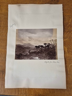 Lot 12 - Ceylon. A collection of 15 albumen print photographs of Ceylon, c. 1880s