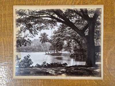 Lot 12 - Ceylon. A collection of 15 albumen print photographs of Ceylon, c. 1880s