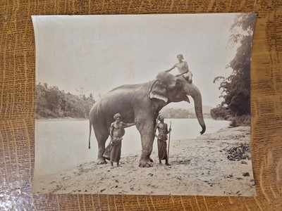 Lot 12 - Ceylon. A collection of 15 albumen print photographs of Ceylon, c. 1880s