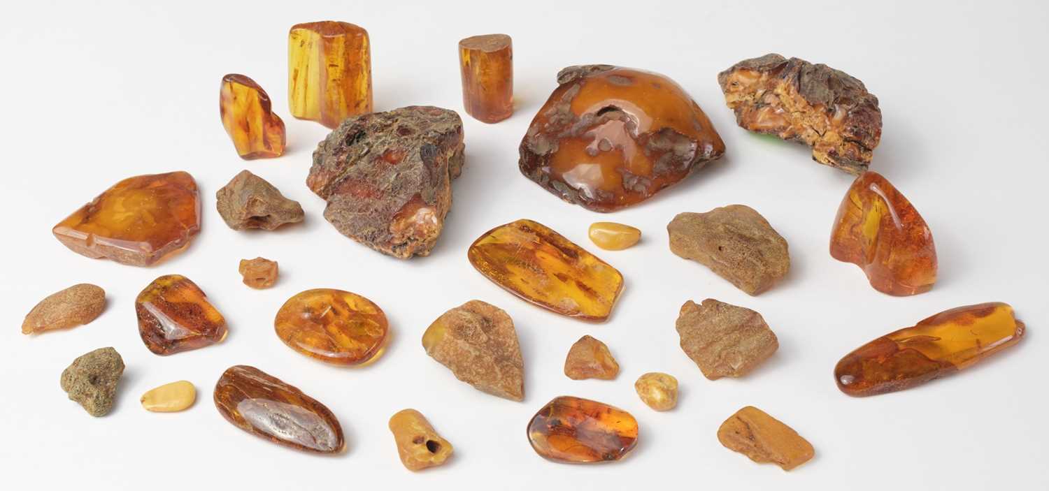 Lot 705 - Amber. A collection of rough amber samples, mostly from Russia and the Ukraine