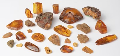 Lot 705 - Amber. A collection of rough amber samples, mostly from Russia and the Ukraine