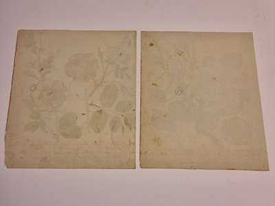 Lot 5 - Botany. Waizmann (Thomas). A Collection of Seven Watercolours, circa 1810