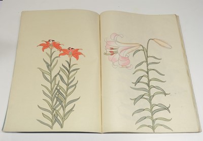 Lot 56 - Japanese Lilies. Manuscript, [?Tokyo], late 19th c.