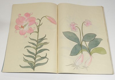 Lot 56 - Japanese Lilies. Manuscript, [?Tokyo], late 19th c.