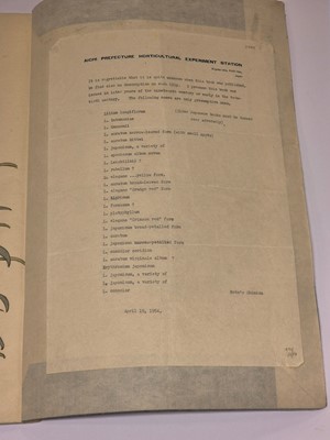 Lot 56 - Japanese Lilies. Manuscript, [?Tokyo], late 19th c.