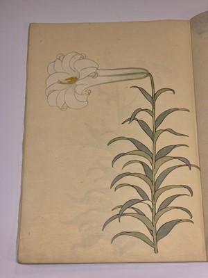 Lot 56 - Japanese Lilies. Manuscript, [?Tokyo], late 19th c.