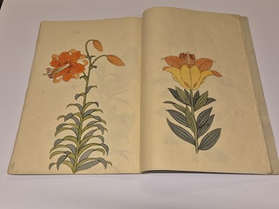 Lot 56 - Japanese Lilies. Manuscript, [?Tokyo], late 19th c.
