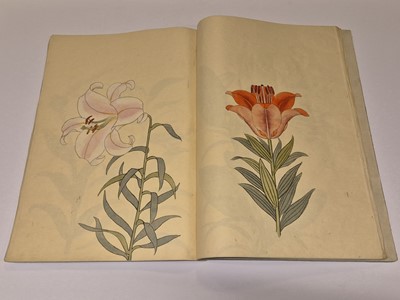 Lot 56 - Japanese Lilies. Manuscript, [?Tokyo], late 19th c.
