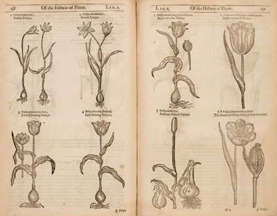 Lot 52 - Gerard (John). [The Herball or Generall Historie of Plantes, 3rd edition, 1636]