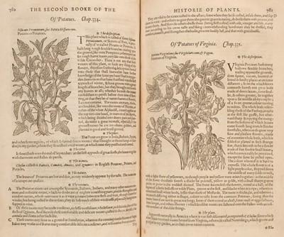 Lot 53 - Gerard (John). The Herball or Generall Historie of Plantes, 1st edition, 1597