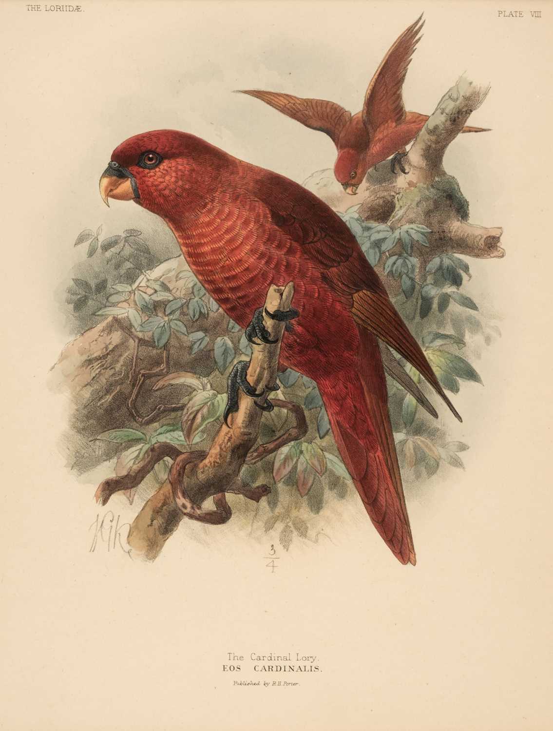 Lot 216 - Mivart (St. George Jackson, 1827-1900). Four