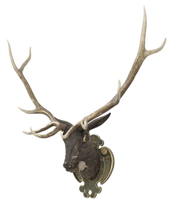 Lot 738 - Stags Head. A large Continental carved wood stag head, probably Black Forest circa 1900
