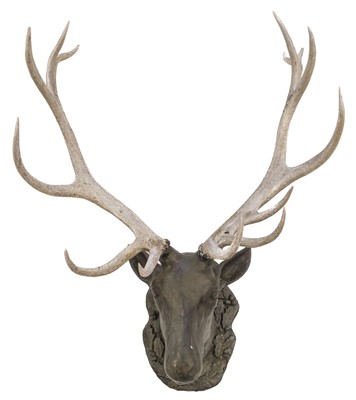 Lot 736 - Stag Heads. Continental Imperial Stag heads, probably Black Forest, early 20th century