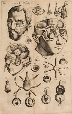 Lot 341 - Diemerbroeck (Ysbrand van). Anatome Corporis Humani..., 1672