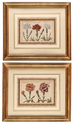 Lot 305 - Van der Passe (Crispin). Pair of Engravings of Carnations [1614 - 16]