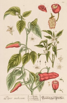 Lot 178 - Blackwell (Elizabeth). A collection of 31 Botanical Engravings, Nuremberg: 1757 - 73