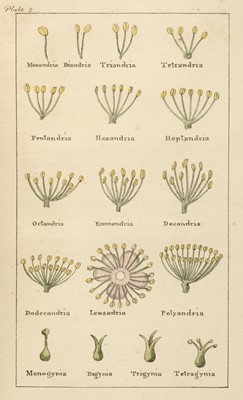 Lot 60 - Phillips (Henry). Pomarium Britannicum, 1st edition, 1820