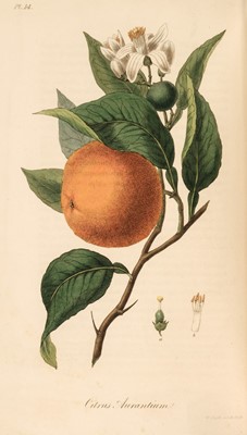 Lot 63 - Stephenson (J. & J. M. Churchill). Medical Botany..., 1834-1836