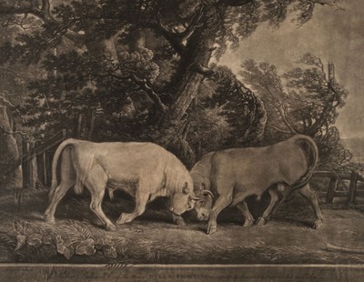 Lot 243 - Stubbs (George Townley). Bulls Fighting, Benjamin Beale Evans, 1788