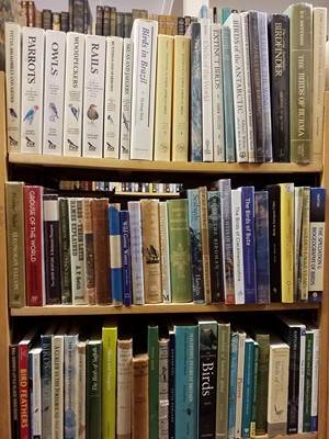Lot 462 - Ornithology. A large collection of modern ornithology reference & related