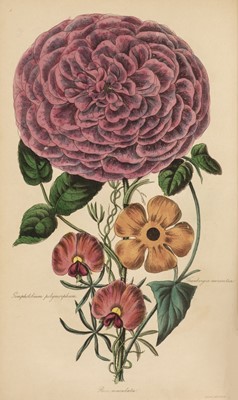 Lot 54 - Harrison (Joseph). The Floricultural Cabinet, 7 volumes, 1835-41