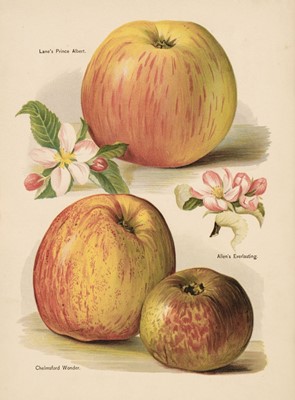 Lot 65 - Wright (John). The Fruit Grower's Guide, 6 volumes, circa 1890