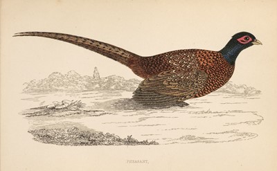 Lot 218 - Natural History. A collection of approximately 650 prints, late 19th & early 20th century