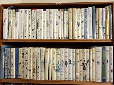 Lot 439 - Ornithology. A collection of T & A D Poyser and Helm published ornithology books