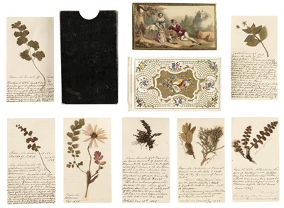 Lot 51 - Dried Plant Specimens. A collection of 32 dried and pressed specimens from Italy, 1828-1858