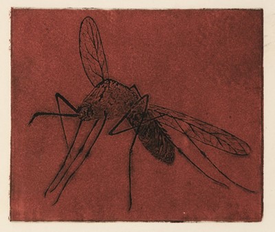 Lot 365 - Apiary Press. Insects, by Helen Marie Fesenmaier, 1959