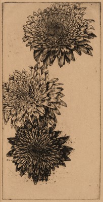 Lot 653 - Apiary Press. Chrysanthemums, by Gloria Seaman, limited edition 1960