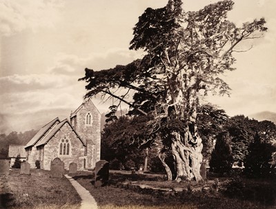 Lot 176 - Tree Studies. A group of five good tree studies, albumen prints