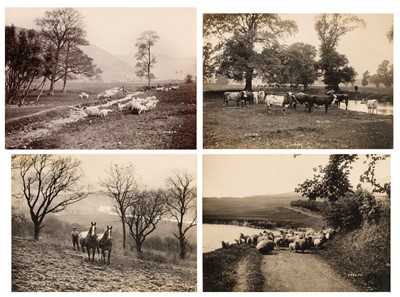 Lot 160 - Reid (Charles, 1837-1929). A group of four rural studies c. 1880-90, gelatin silver print