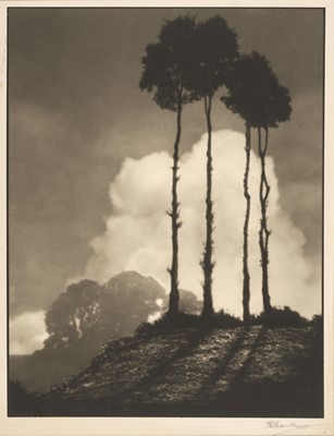 Lot 143 - Hawkins (George Leslie, 1897-1958). Design in Landscape, c. 1956, large chlorobromide print