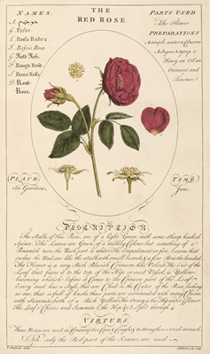 Lot 130 - Sheldrake (Timothy). Botanicum Medicinale; an Herbal of Medicinal Plants..., [1759]
