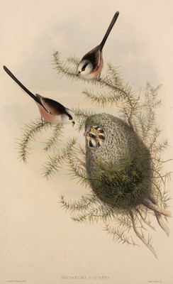 Lot 257 - Gould (John). Five lithographs of Birds, circa 1850
