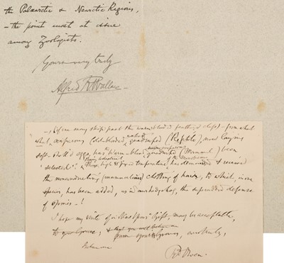 Lot 319 - Wallace (Alfred Russel, 1823-1913). Autograph Letter Signed, 'Alfred R. Wallace', 21 March 1894