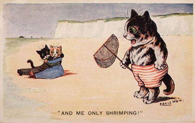 Lot 189 - Cats and Dogs’ postcards. A collection of postcards of cats and dogs, pre-1920