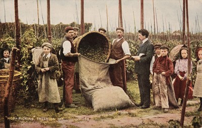 Lot 215 - Rural postcards. A group of 73 postcards of rural scenes, pre-1920