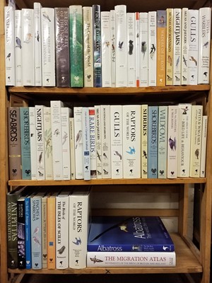 Lot 509 - Ornithology. A collection of T. & A. D. Poyser and Helm published ornithology books